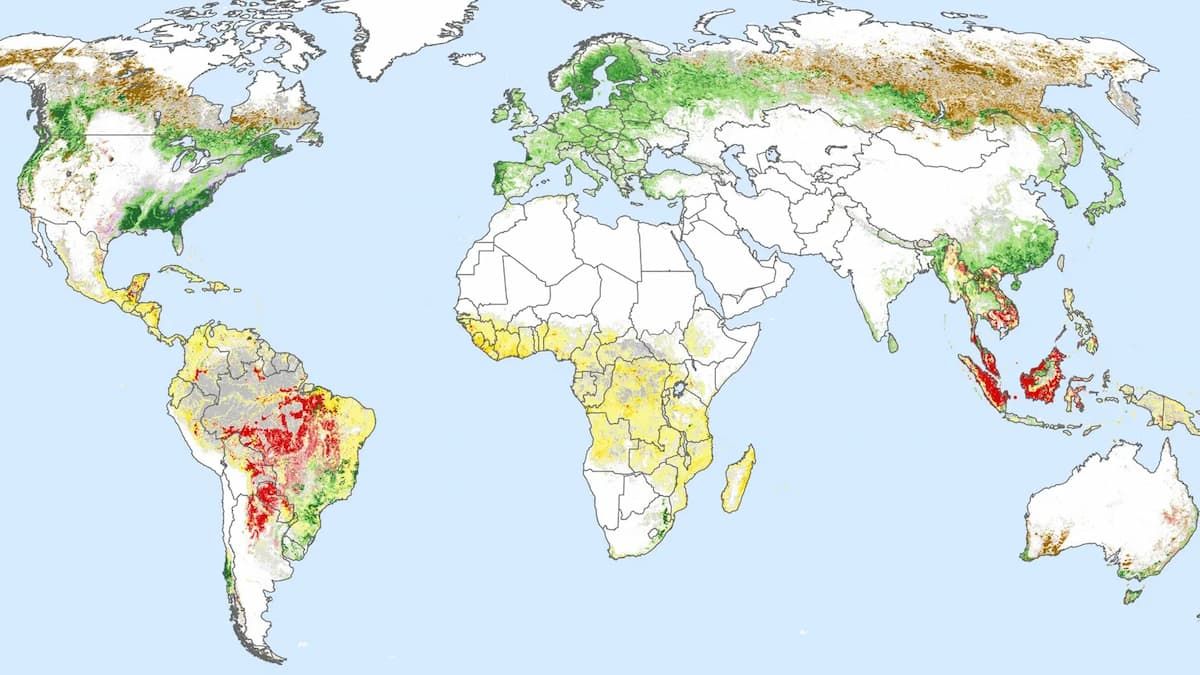 Carte mondiale de la déforestation entre 2001 et 2015 - Source : Science.org