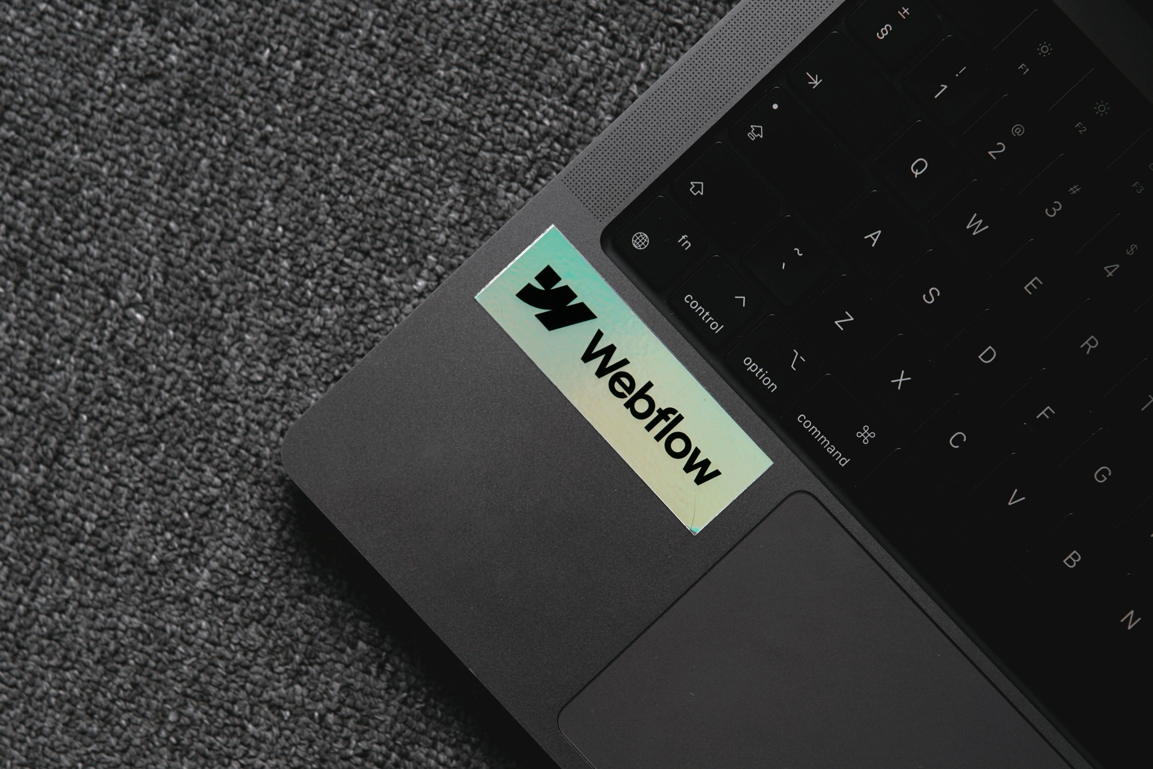 Webflow Alternatives