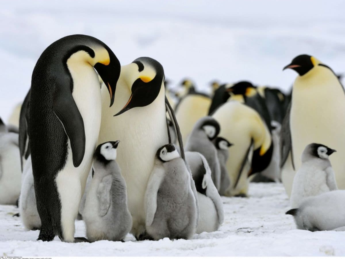 Les jolies colonies de vacances.