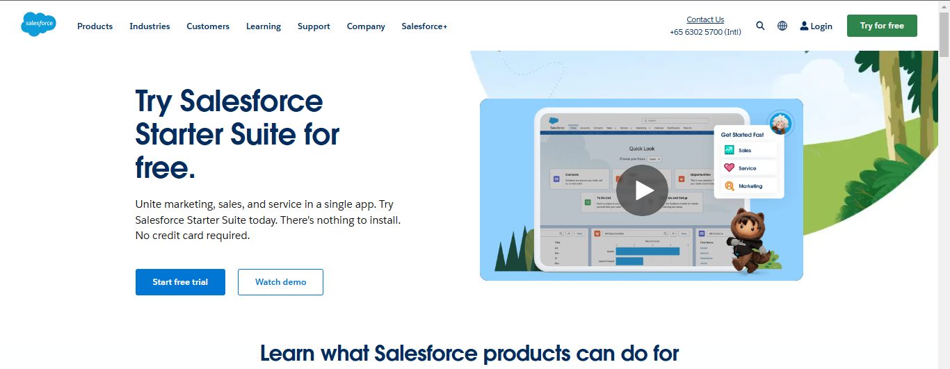 notion image