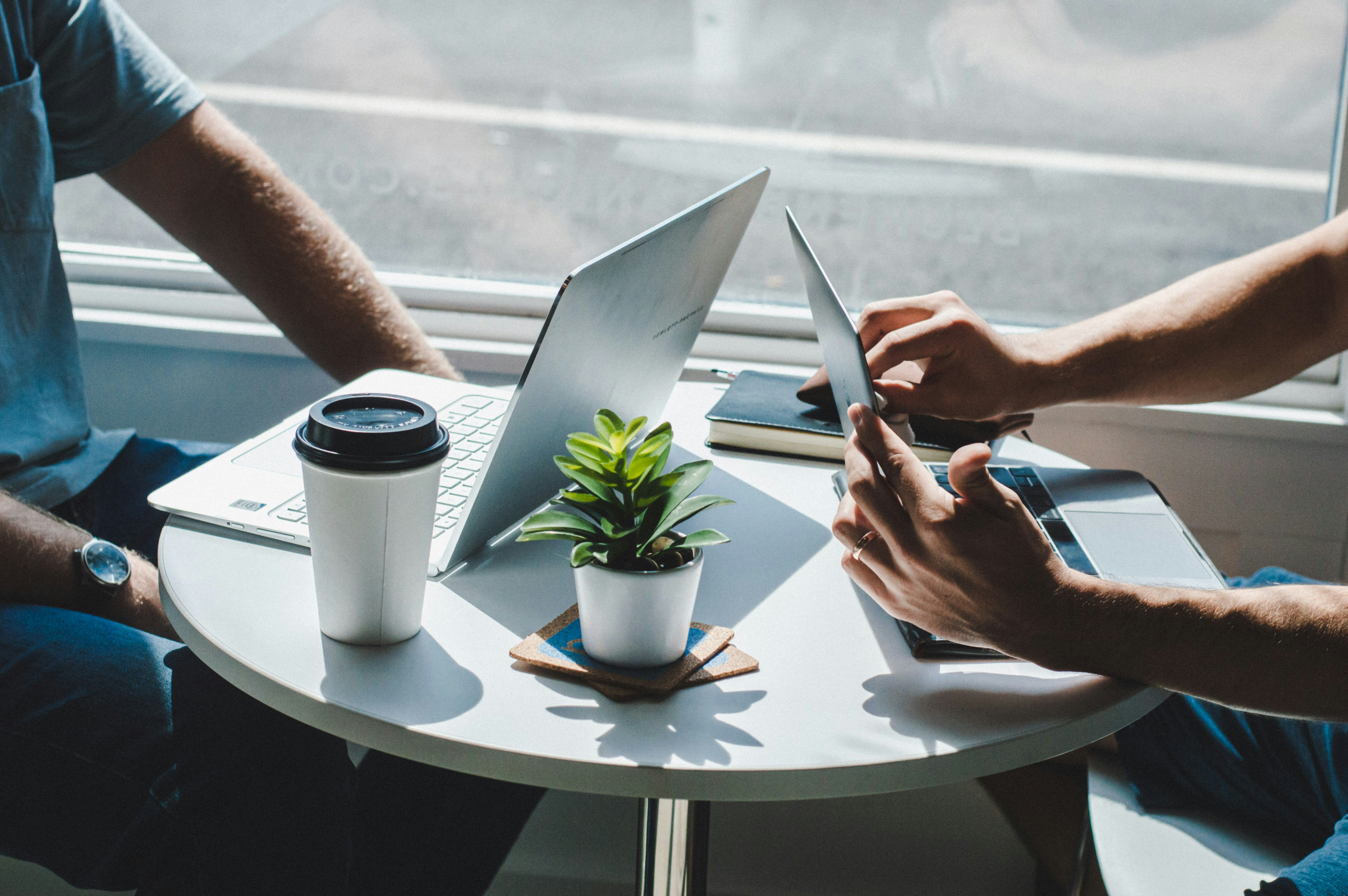 Notion WordPress Integration