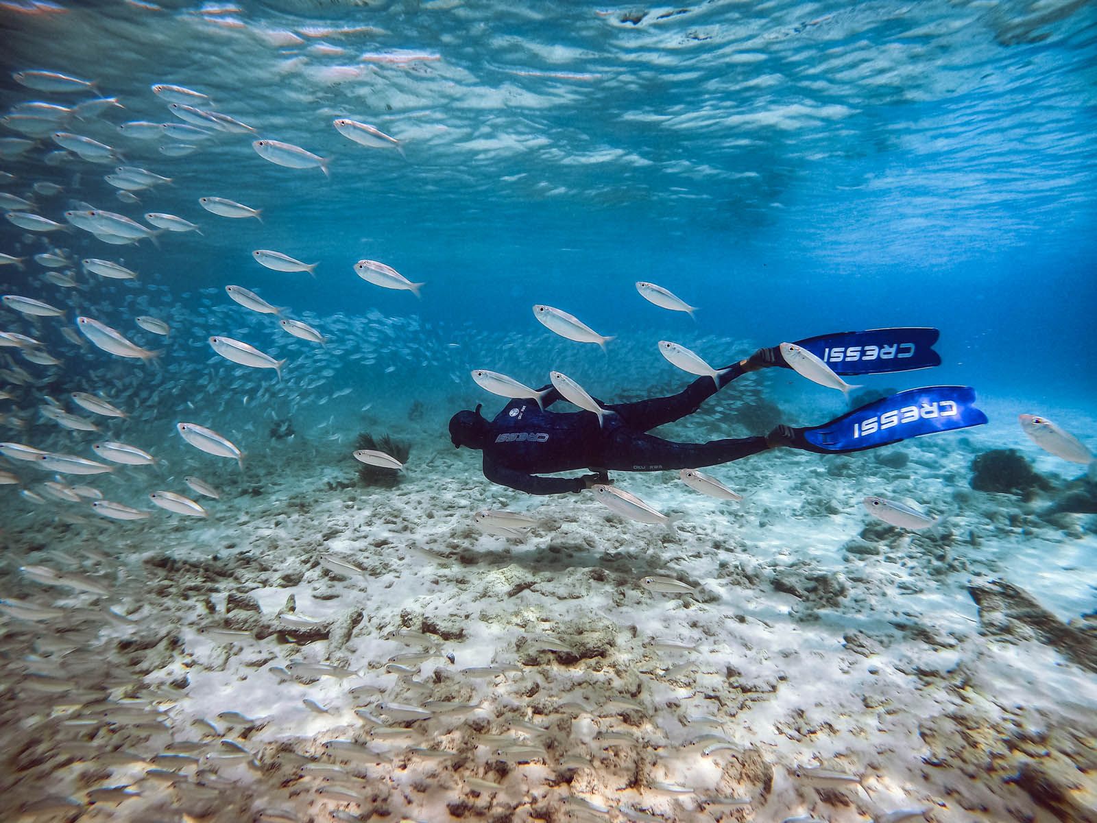 Courses - Landing Pages