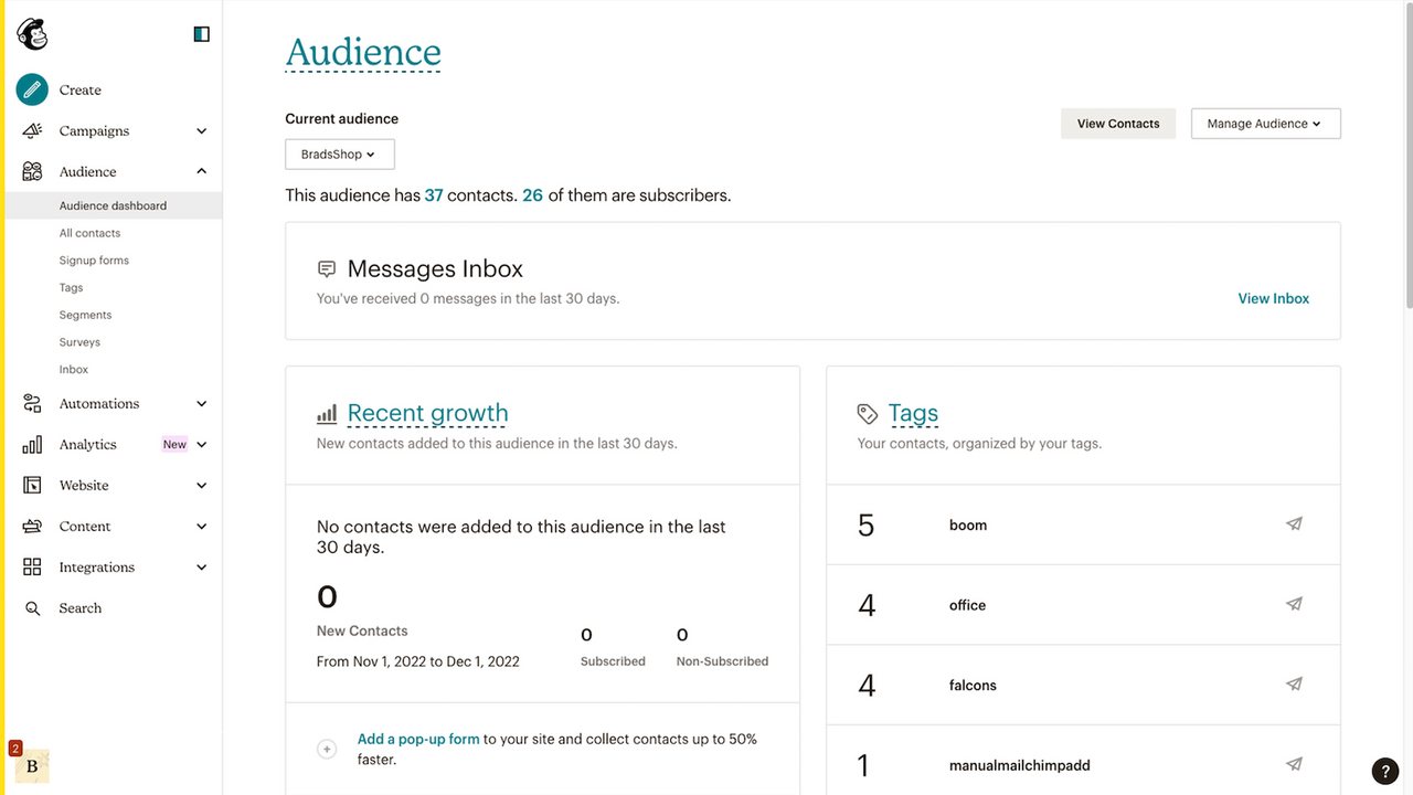 An overview of Mailchimp's Audience page from the Shopify App Store.