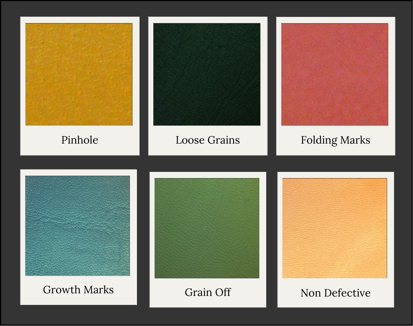 Classes in the dataset