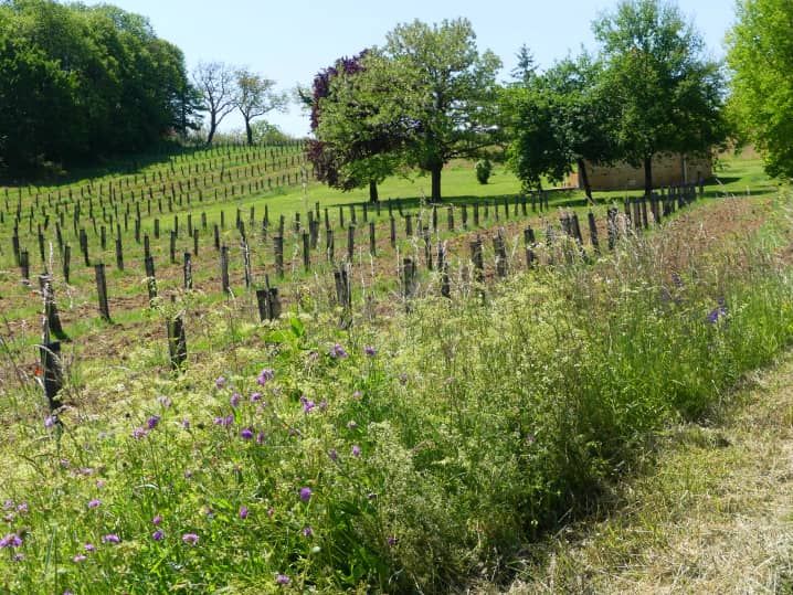 Zone d’intervention de Cœur de Forêt - France