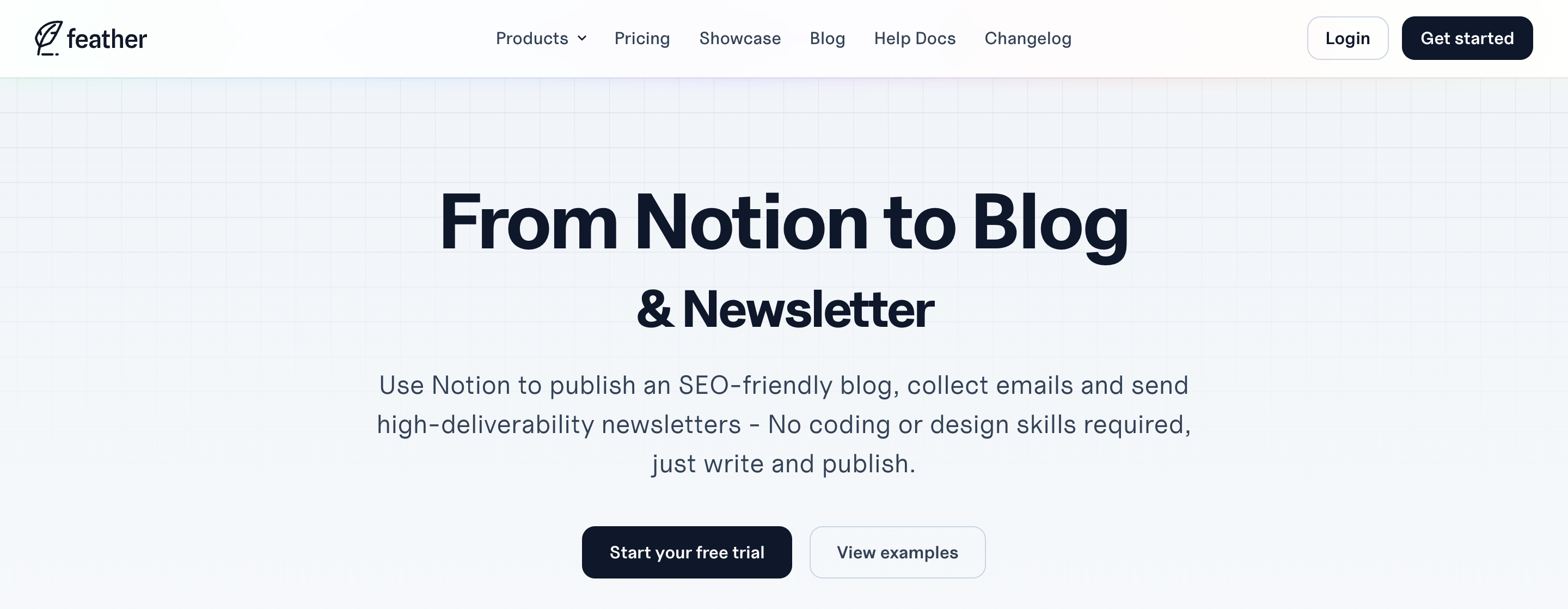 Blog Writing Software