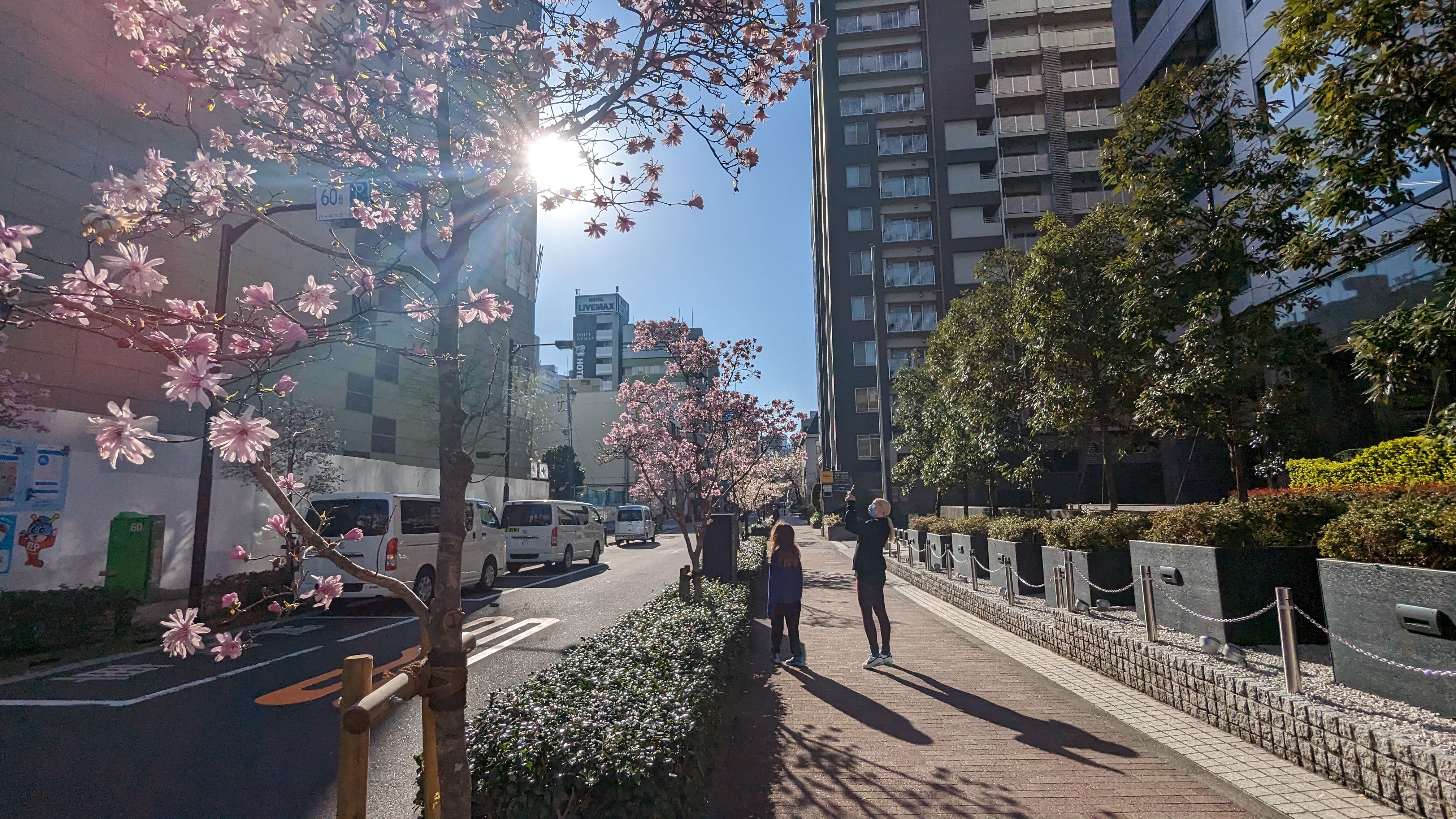 A Trip to Japan (March 2023)