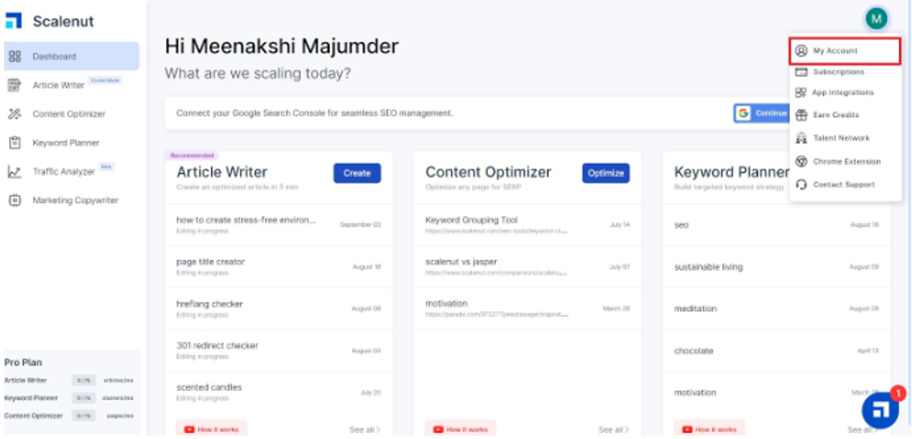 AI writing tools like Scalenut can improve your SEO performance.