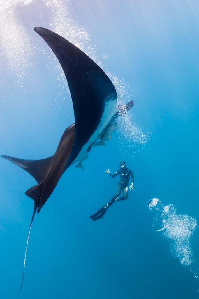 Photo by Maria Paula Martínez Jauregui