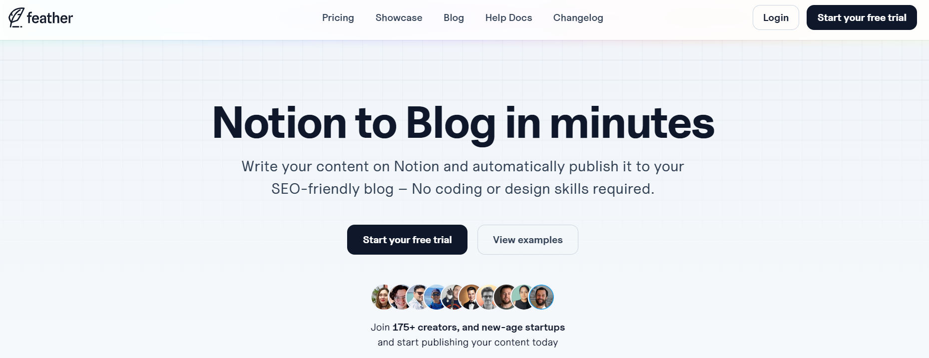 notion image