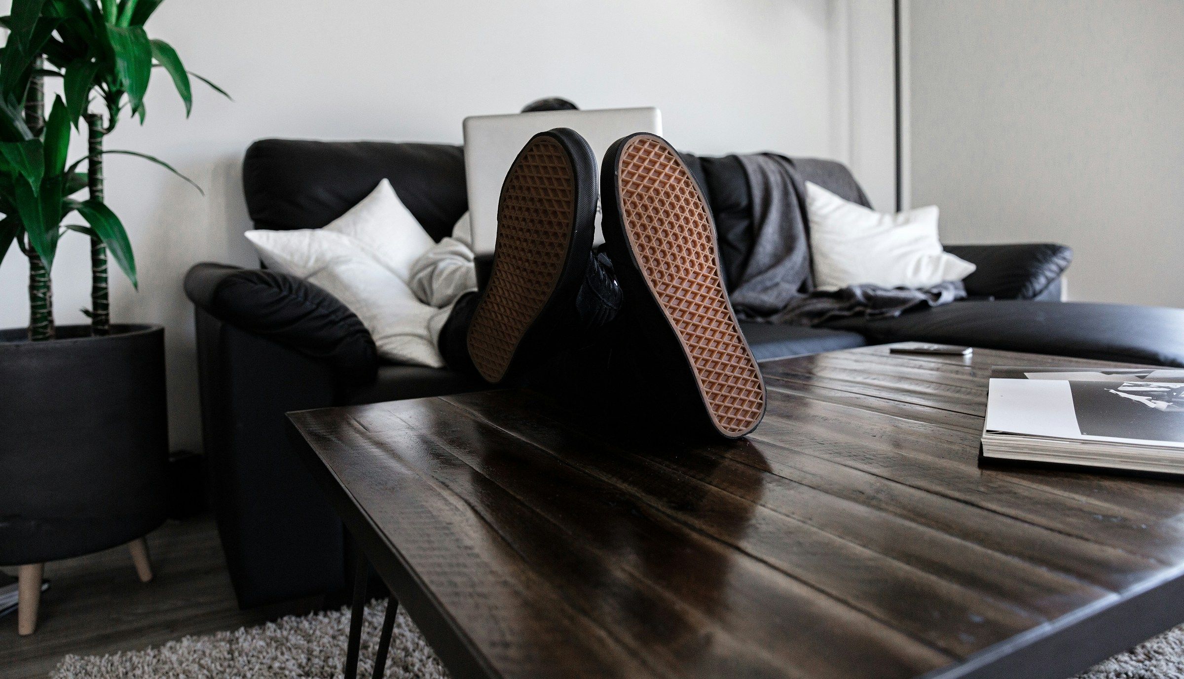 notion image