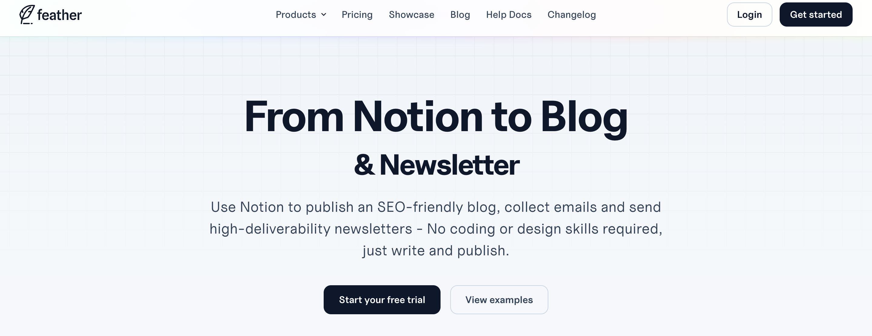 SEO And Content Marketing Trends