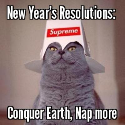 New Year’s Resolutions meme.