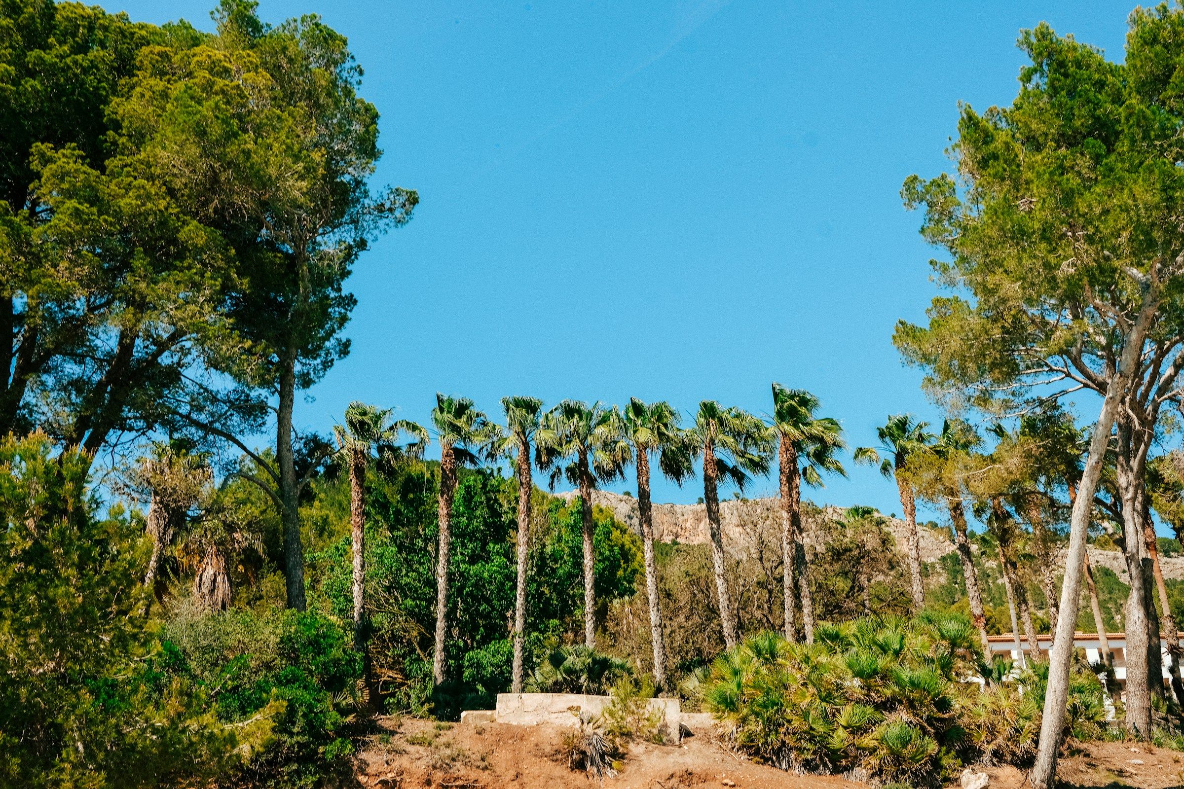 Mallorca in October
