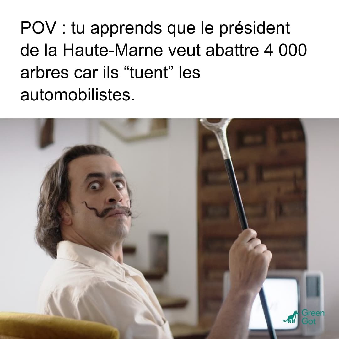 @green_got_ (Oui on fait aussi des mèmes rigolos sur Instagram : suivez-nous pour qu’on rit ensemble.)