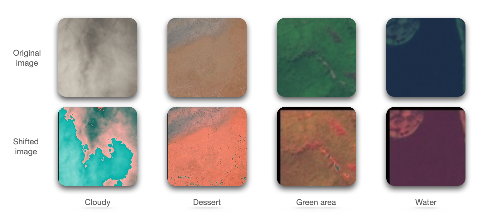 Original and shifted images for each class in the dataset.