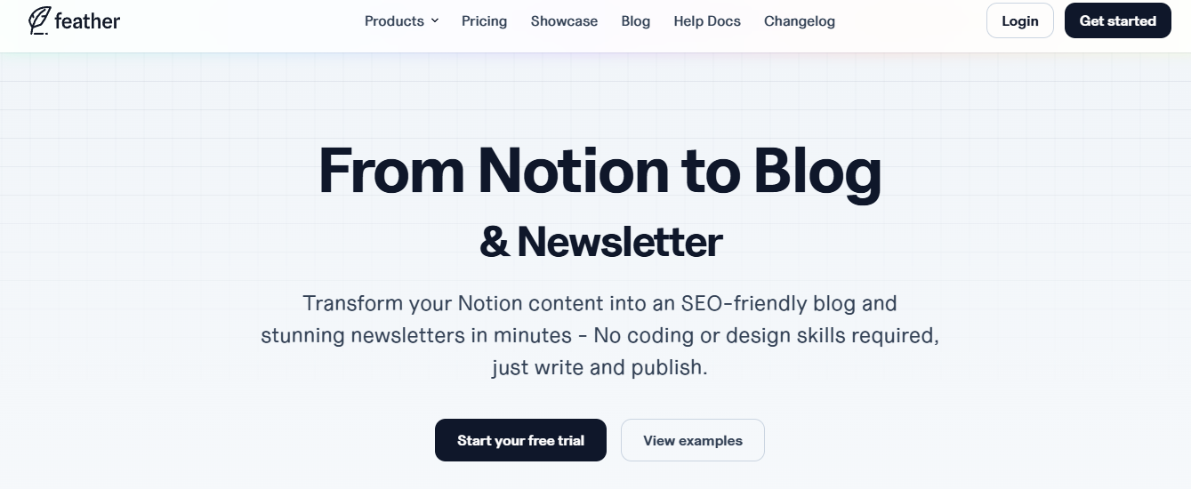 notion image