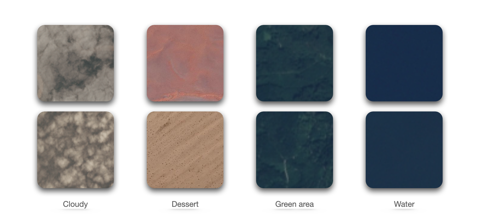 Few images from the dataset.