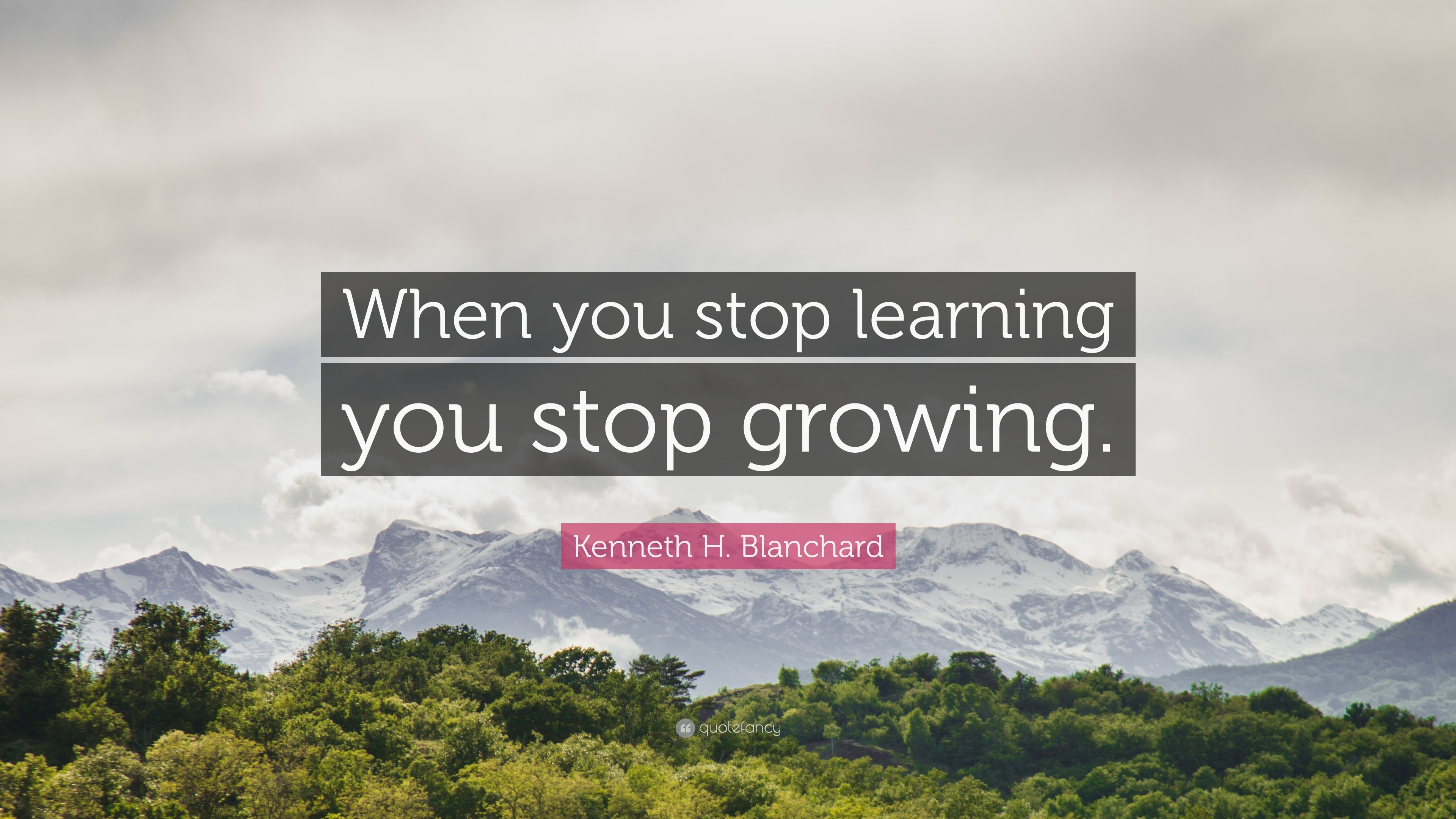 Kenneth H. Blanchard Quote: “When you stop learning you stop growing.”