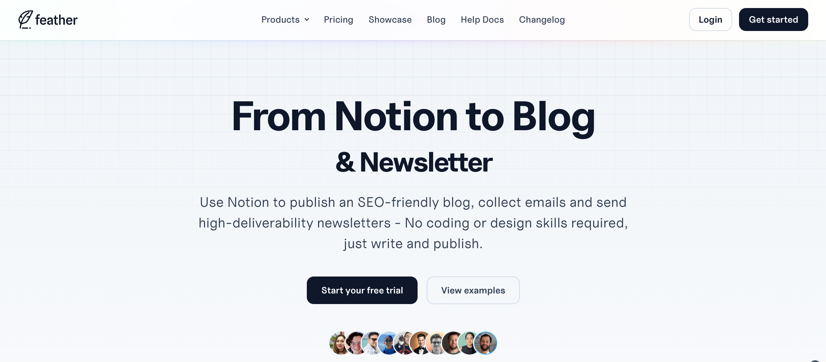 Blog Content Creation
