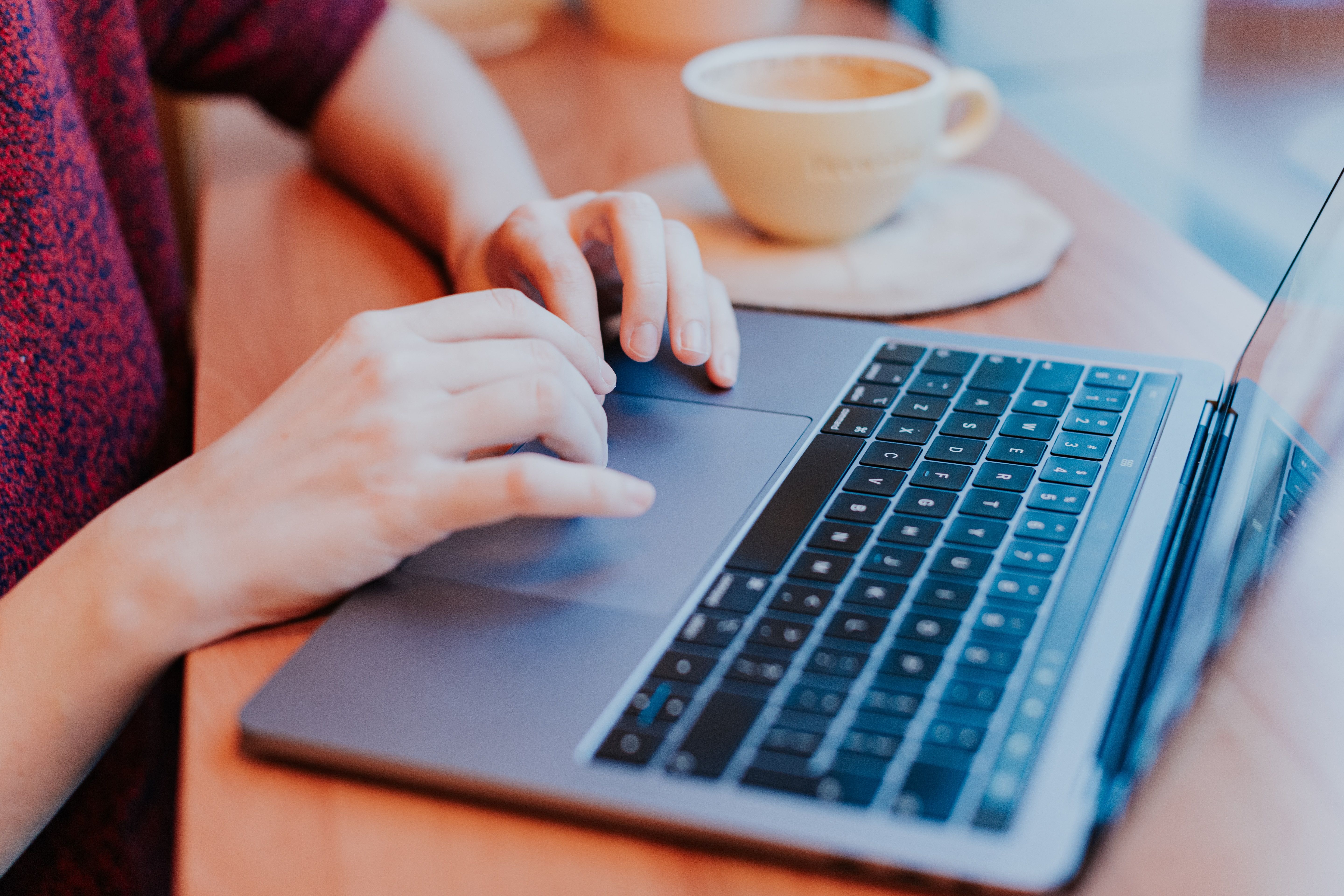 Notion Content Management