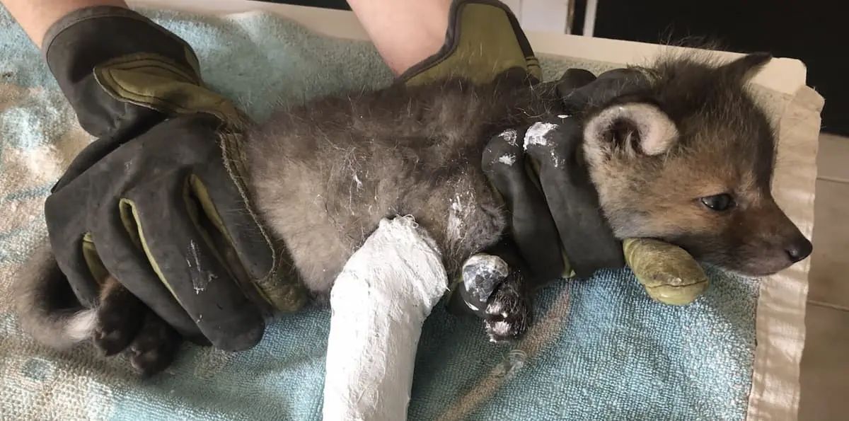 photo presentation association centre athenas