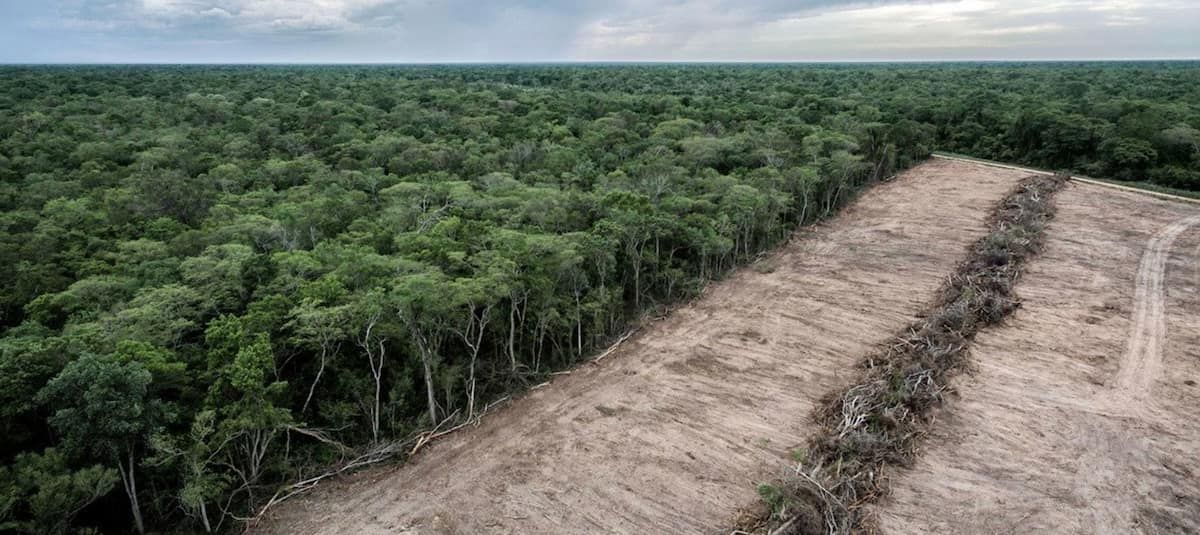 Cette image montre une forêt dévastée en Bolivie liée à l’expansion de l’agriculture mécanisée - Source : Climate Visuals Countdown/Marcelo Perez del Carpio