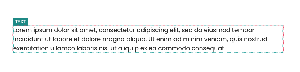 notion image