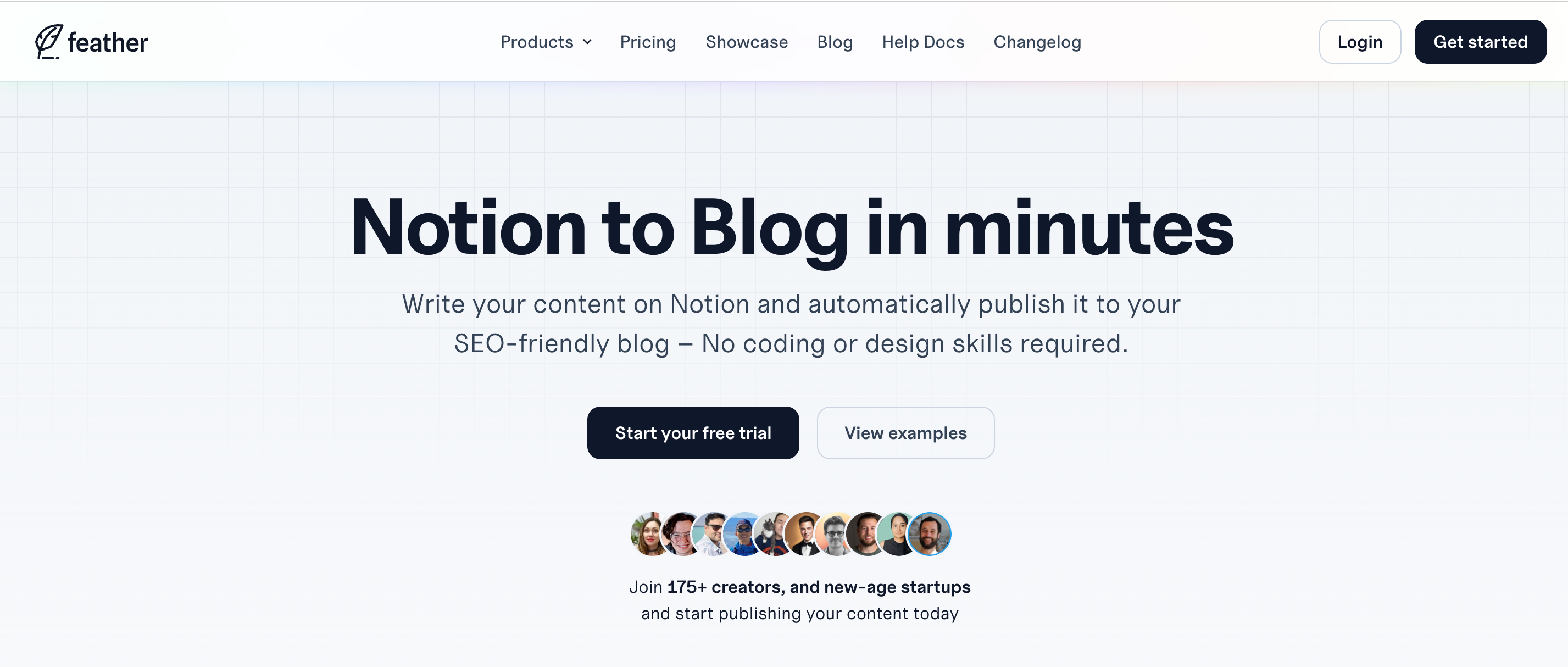 notion image