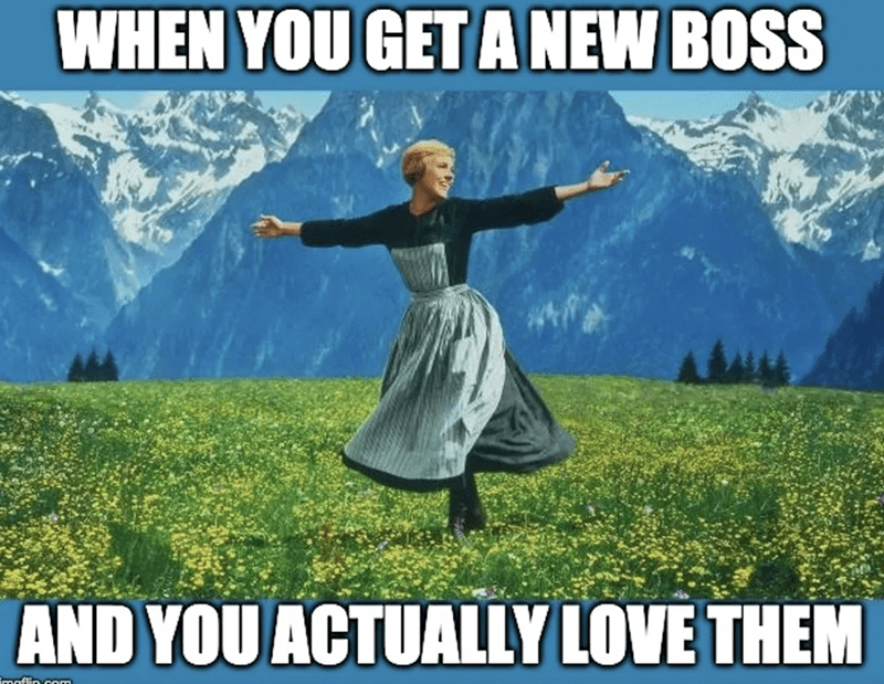 When you get a new boss and you actually love them.