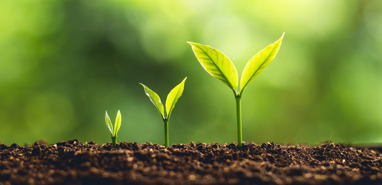 Growth takes time.