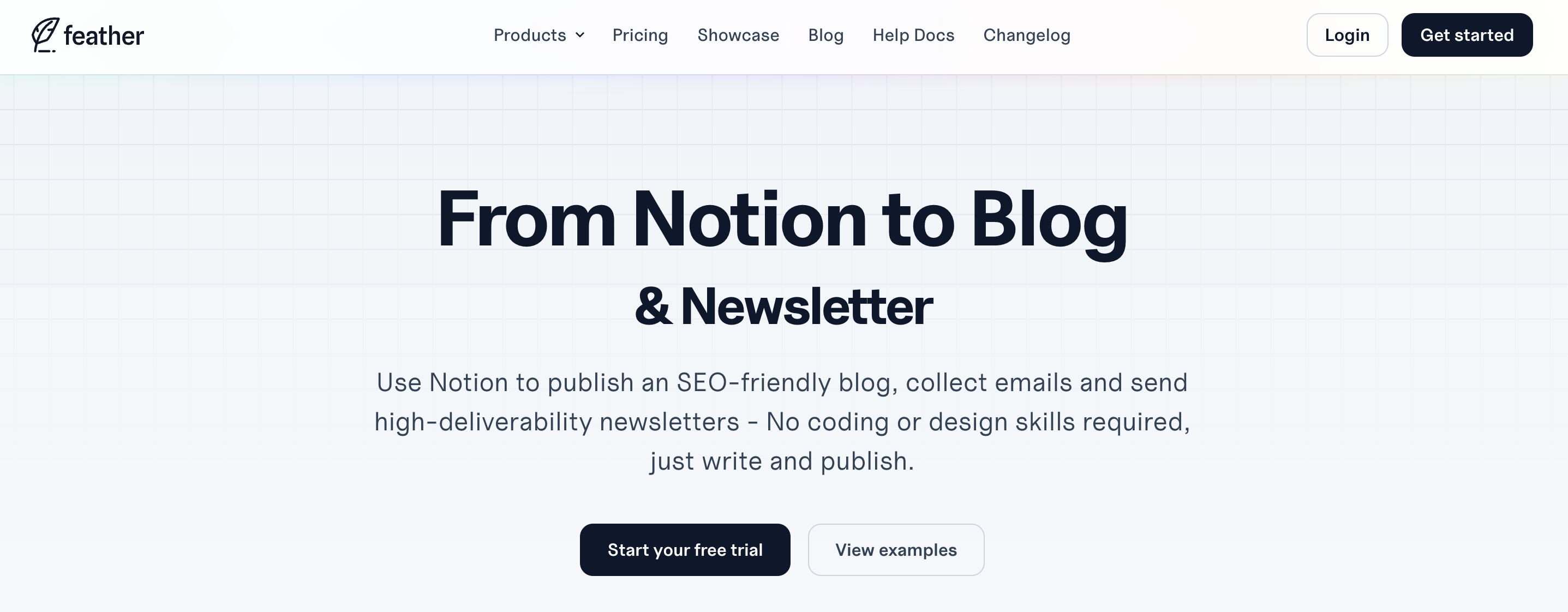 SEO And Content Marketing Platform