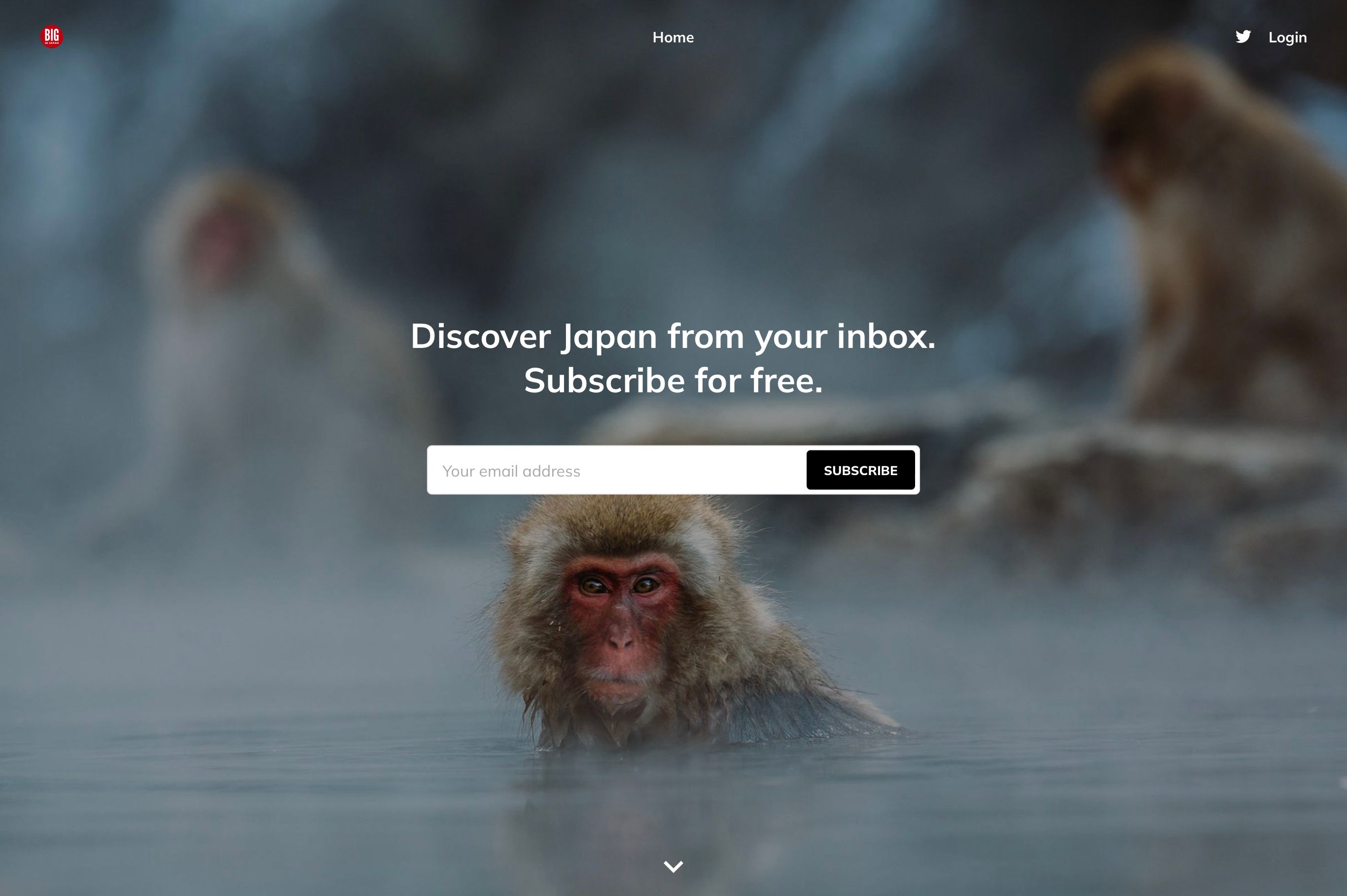 notion image