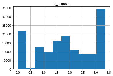 Histogram of the tip amount target variable