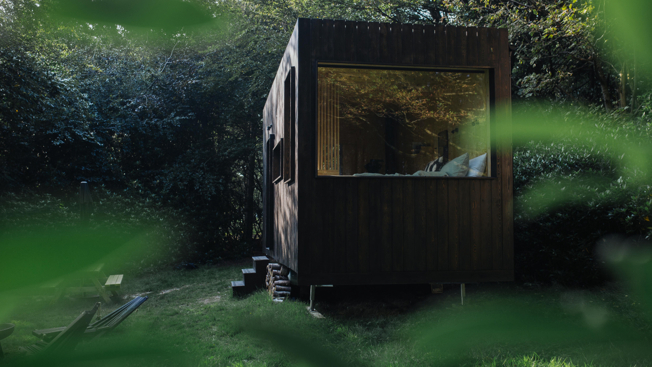 Olive unplugged cabin