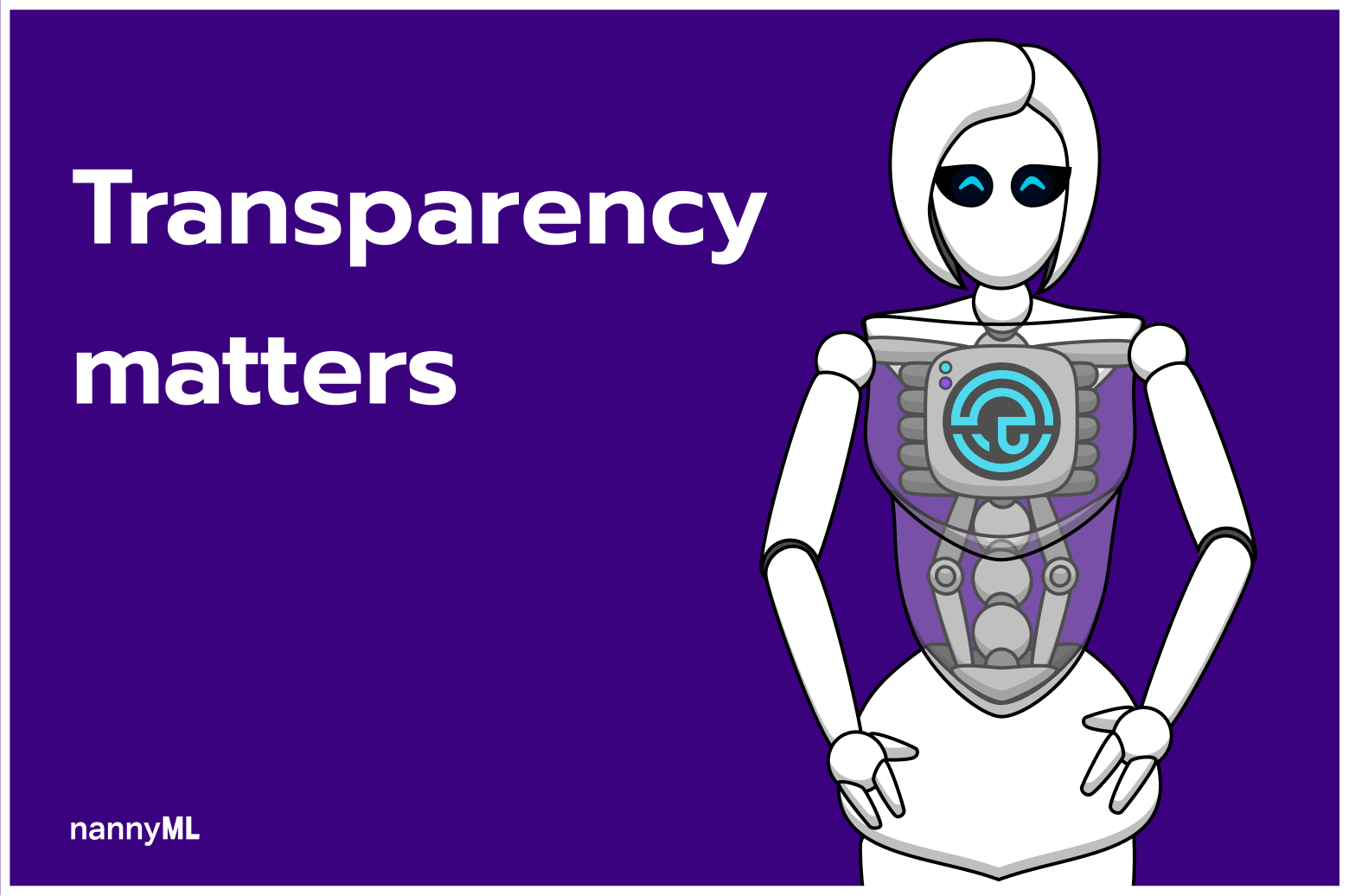 Usage statistics in NannyML