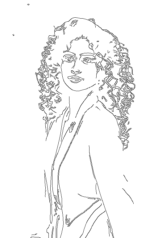 Les contours détectés