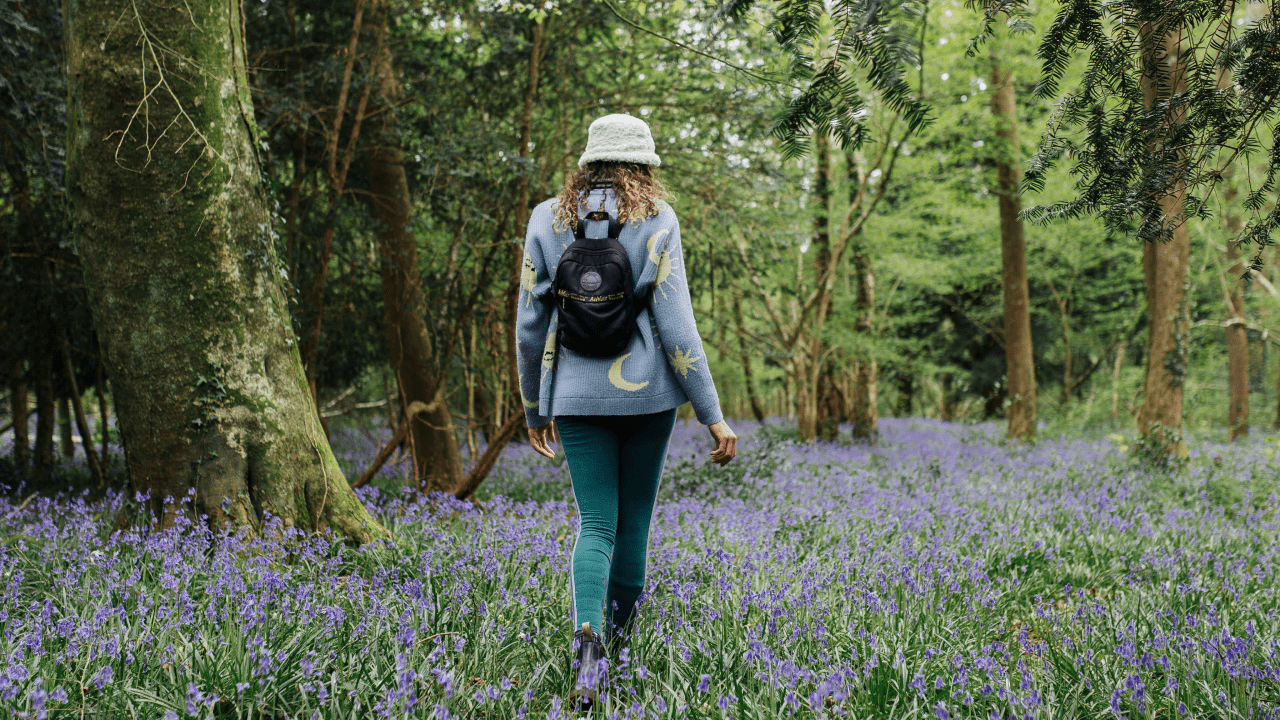 Take a walk in nature