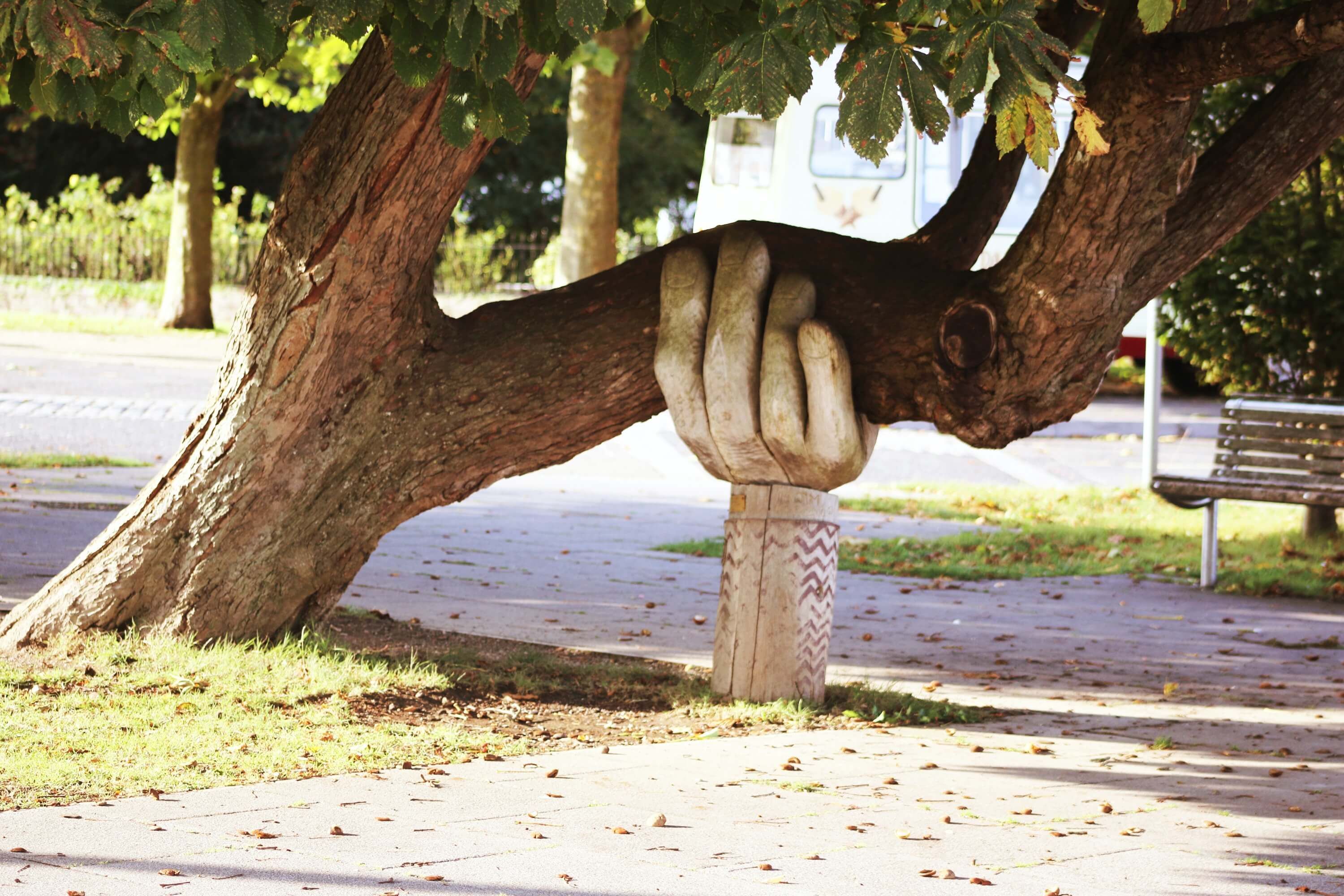 Baum wird duch eine Stütze in Handform gestützt.