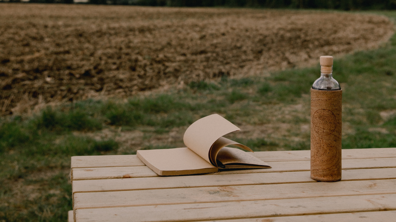 Journal at home or on the go