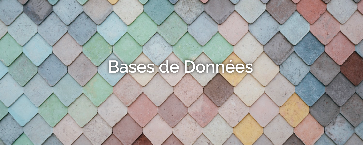 Les bases de données Feather