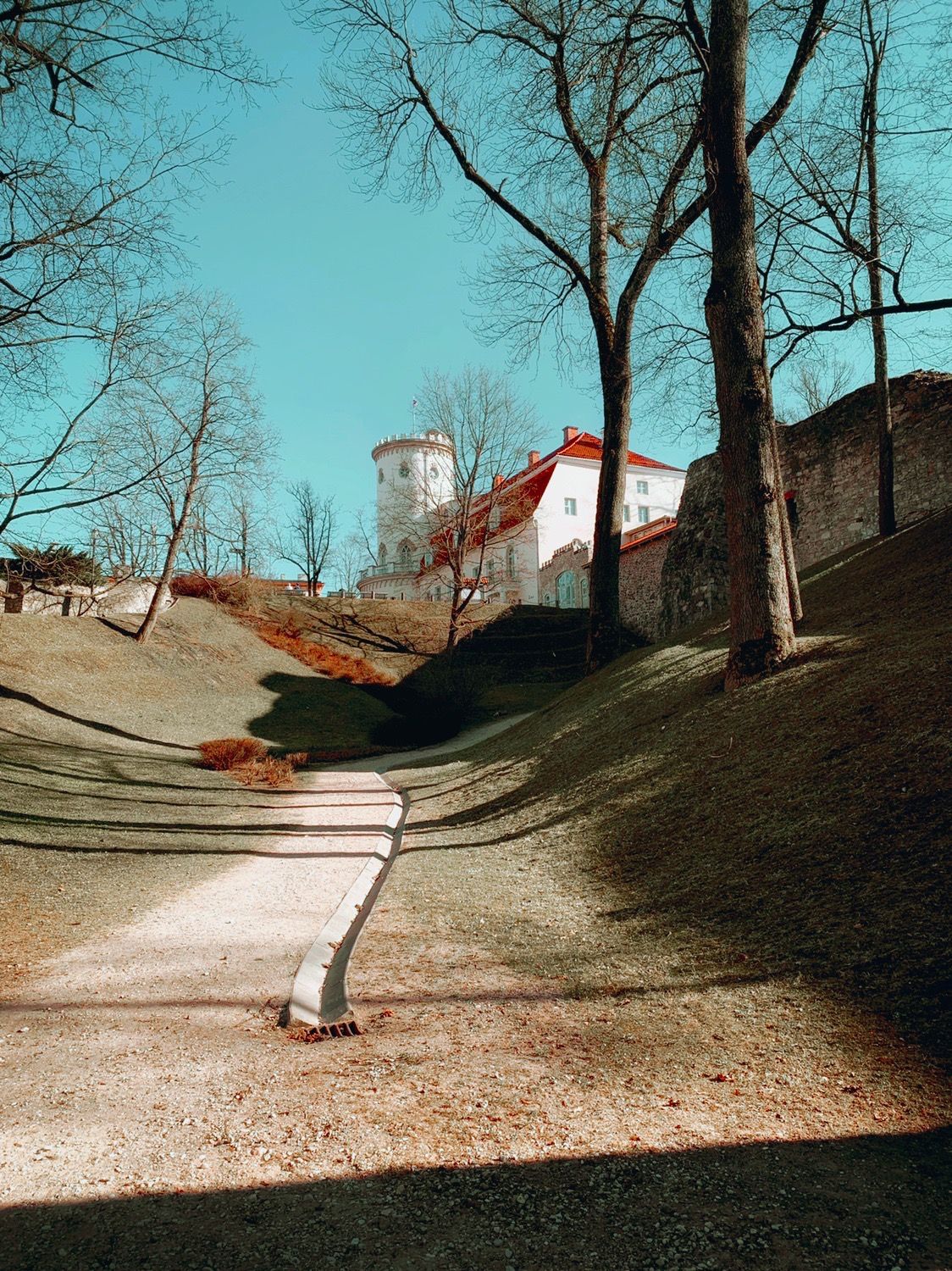 notion image