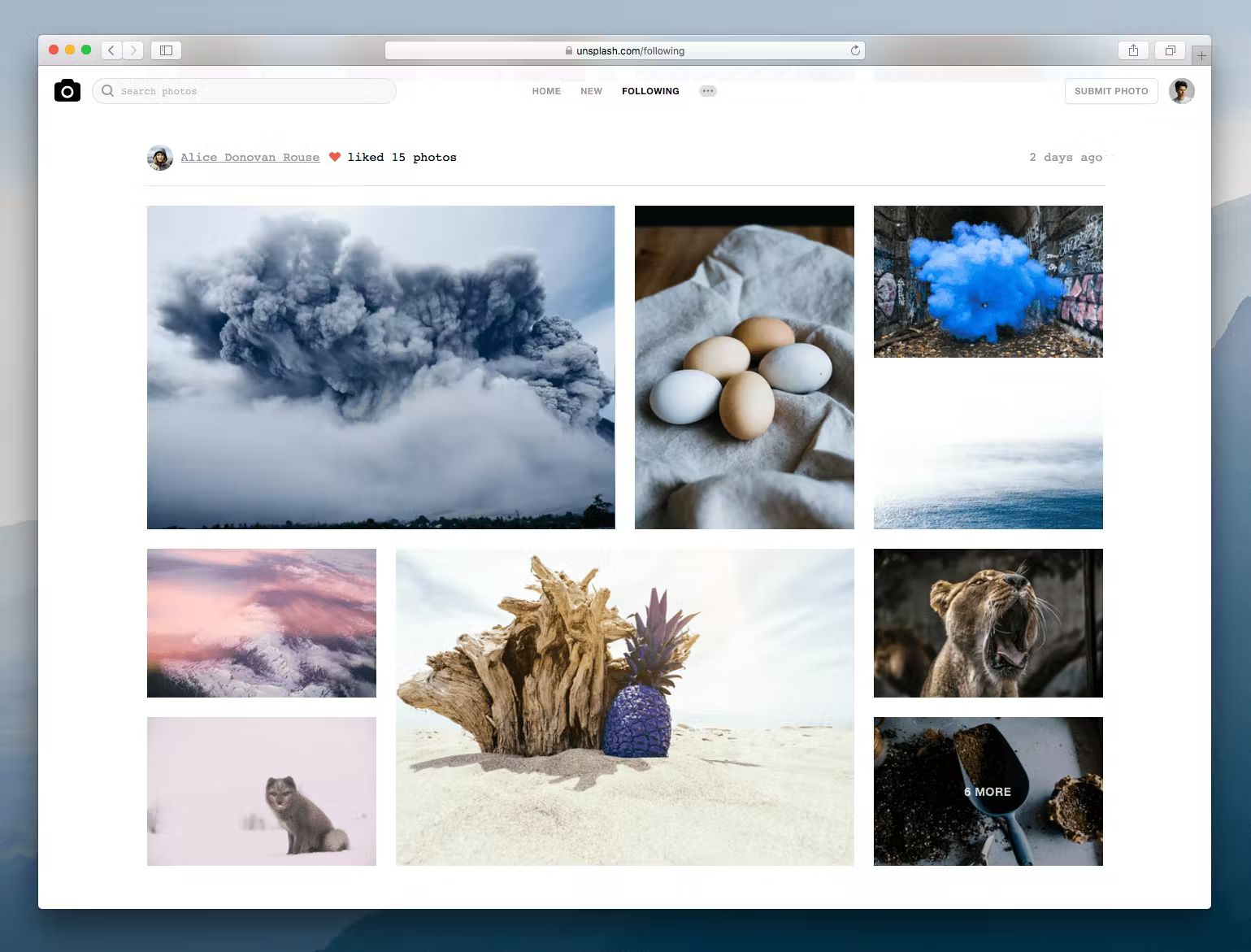 notion image