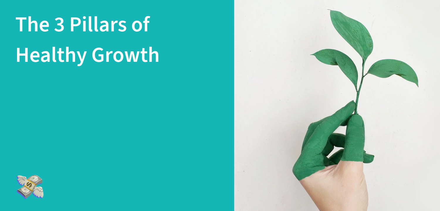 The 3 Pillars of Healthy Growth