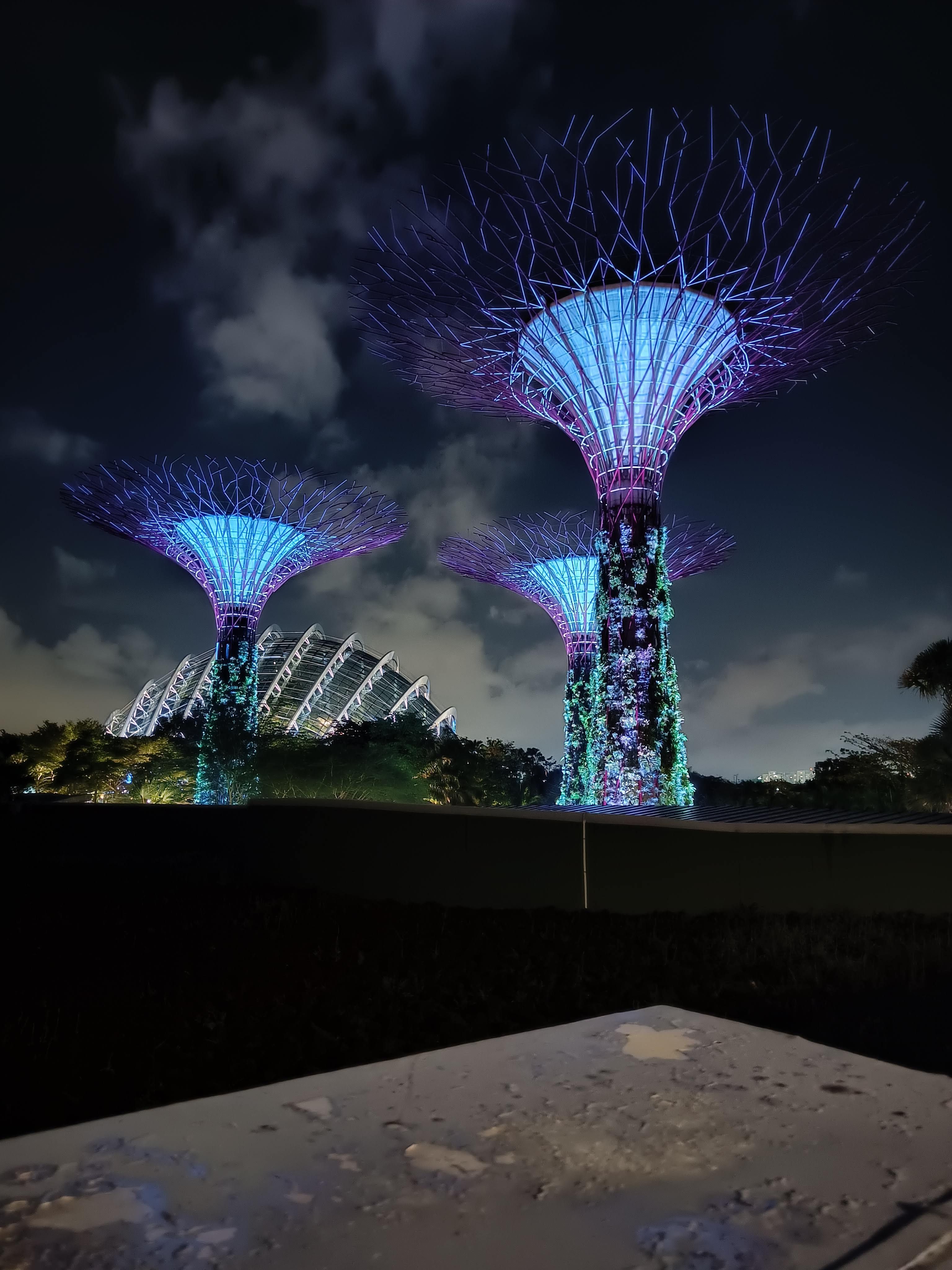 My favourite place in Singapore!